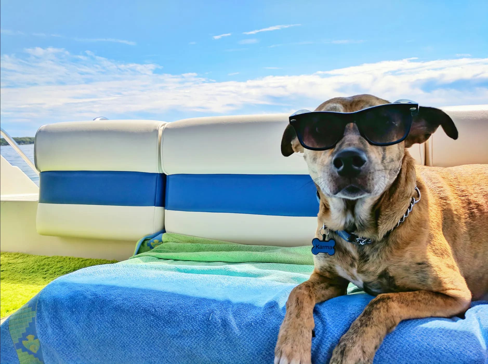 From hiking and camping to paddleboarding and scent work, discover the best outdoor adventures to enjoy with your dog while building trust and lasting memories.