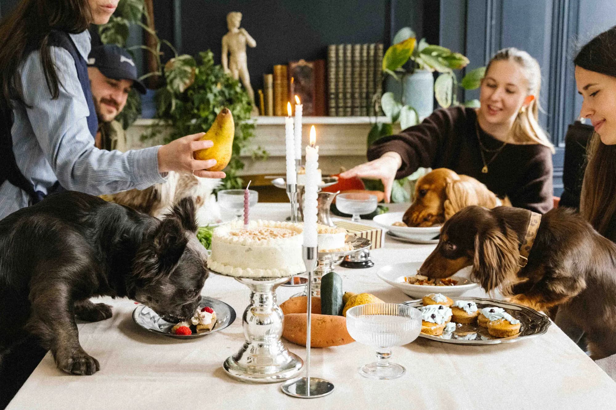 DOGSTRONOMY is the city’s first kitchen dedicated entirely to dogs.